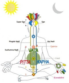 Talking about Doshas and the 3 Mind/Body Types